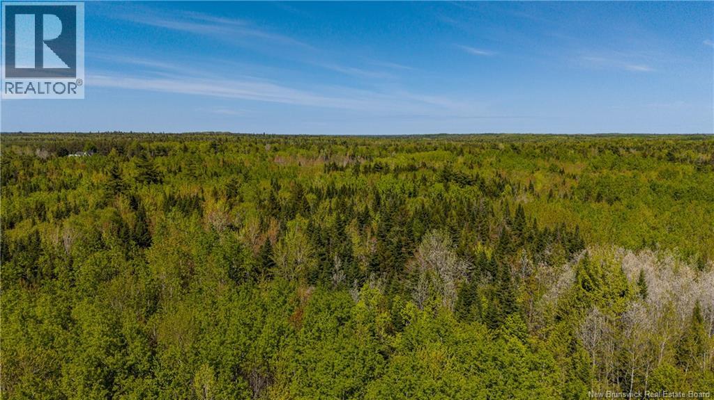 Lot 20-1 Route 525, Saint-Antoine, New Brunswick  E4V 3A1 - Photo 21 - NB140870