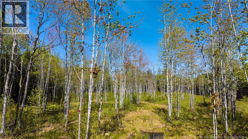 Lot 20-1 Route 525, Saint-Antoine, New Brunswick  E4V 3A1 - Photo 4 - NB140870