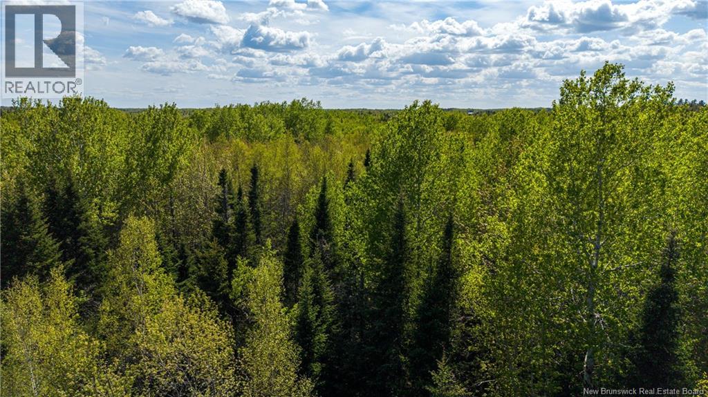 Lot 20-2 Route 525, Saint-Antoine, New Brunswick  E4V 3A1 - Photo 4 - NB140873