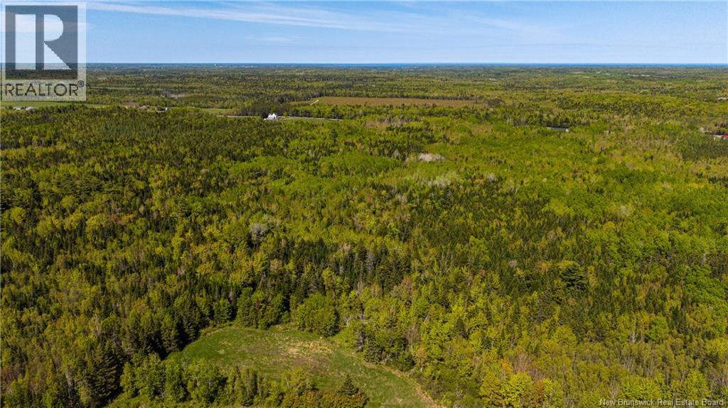 Lot 20-2 Route 525, Saint-Antoine, New Brunswick  E4V 3A1 - Photo 6 - NB140873