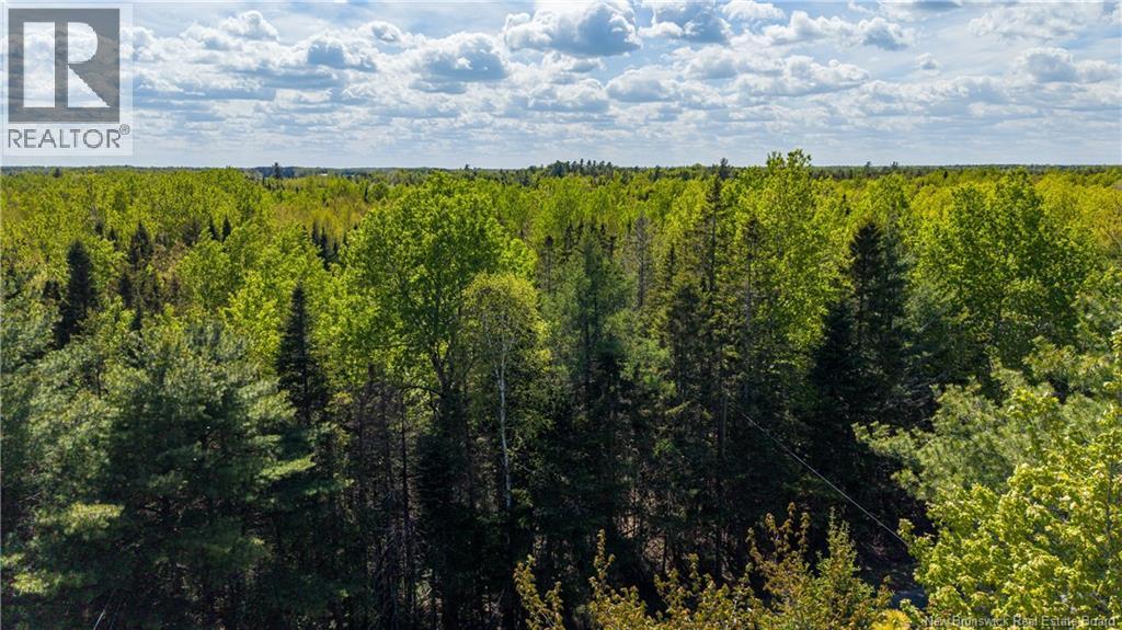 Lot 20-2 Route 525, Saint-Antoine, New Brunswick  E4V 3A1 - Photo 9 - NB140873