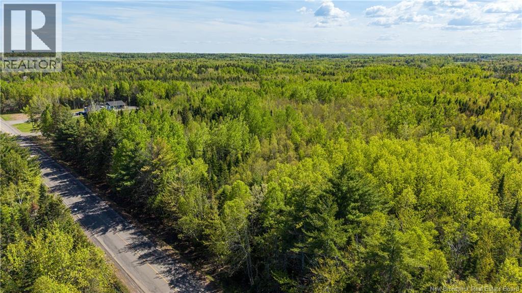 Lot 20-2 Route 525, Saint-Antoine, New Brunswick  E4V 3A1 - Photo 14 - NB140873