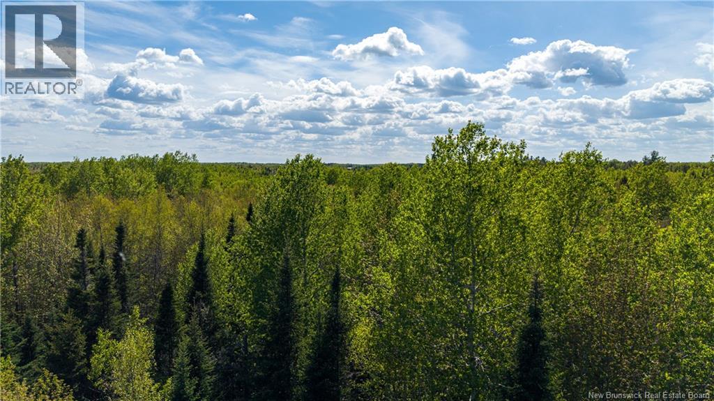 Lot 20-2 Route 525, Saint-Antoine, New Brunswick  E4V 3A1 - Photo 15 - NB140873