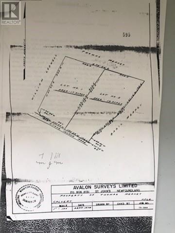 Lot 2 Northside Road, Calvert, Newfoundland & Labrador  A0A 1N0 - Photo 3 - 1298339