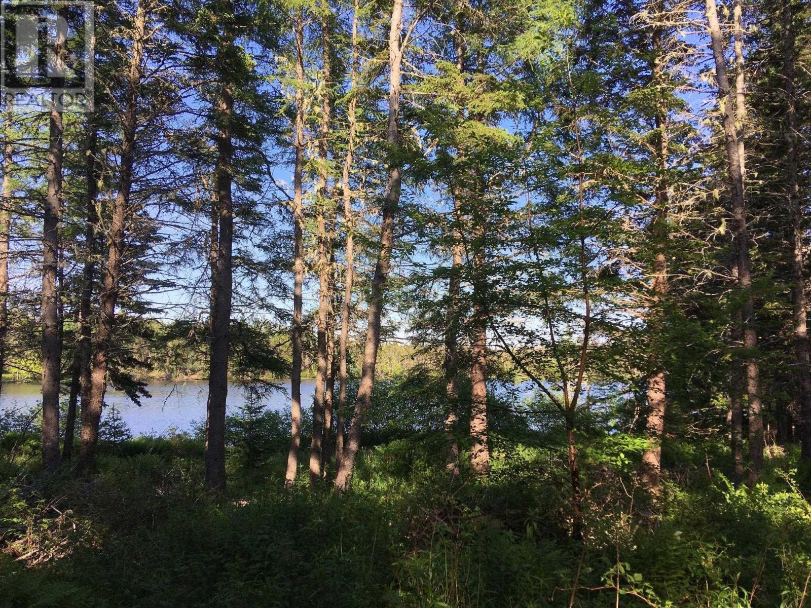 Peter Sosna Drive, Hay Cove, Nova Scotia  B0E 3M0 - Photo 5 - 202601817