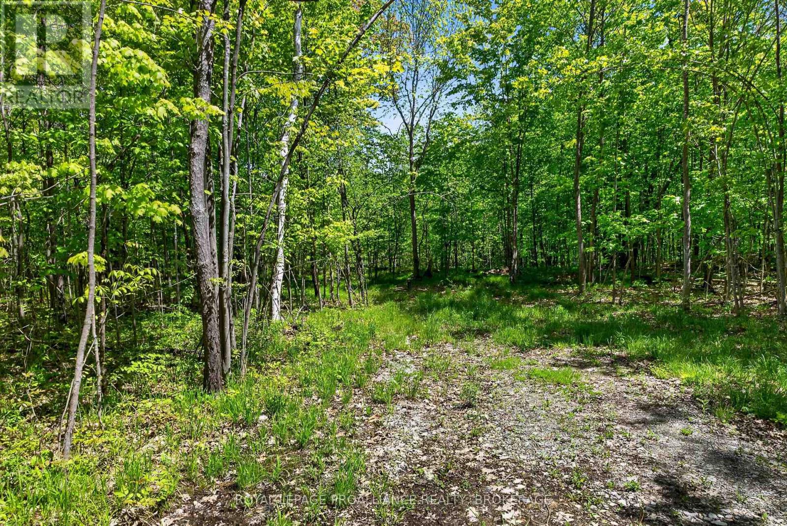 Pt Lts 12 & 13 Devil Lake Road, South Frontenac, Ontario  K0G 1X0 - Photo 2 - X12499646