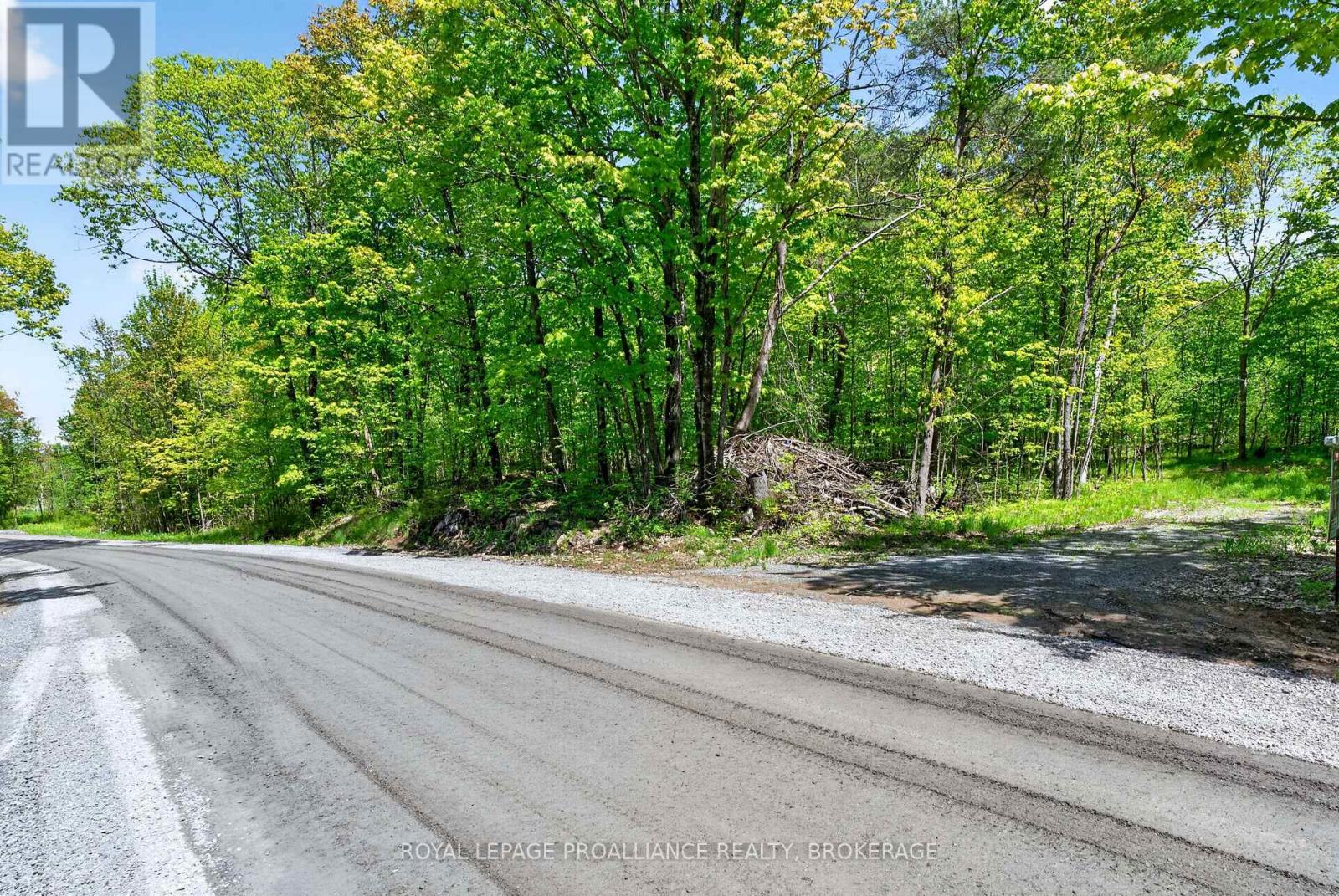 Pt Lts 12 & 13 Devil Lake Road, South Frontenac, Ontario  K0G 1X0 - Photo 3 - X12499646