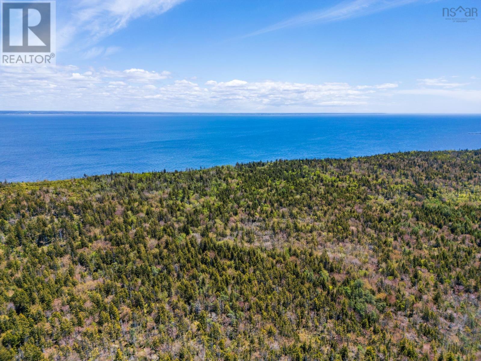 948 Highway 217, Freeport, Nova Scotia  B0V 1B0 - Photo 11 - 202613057