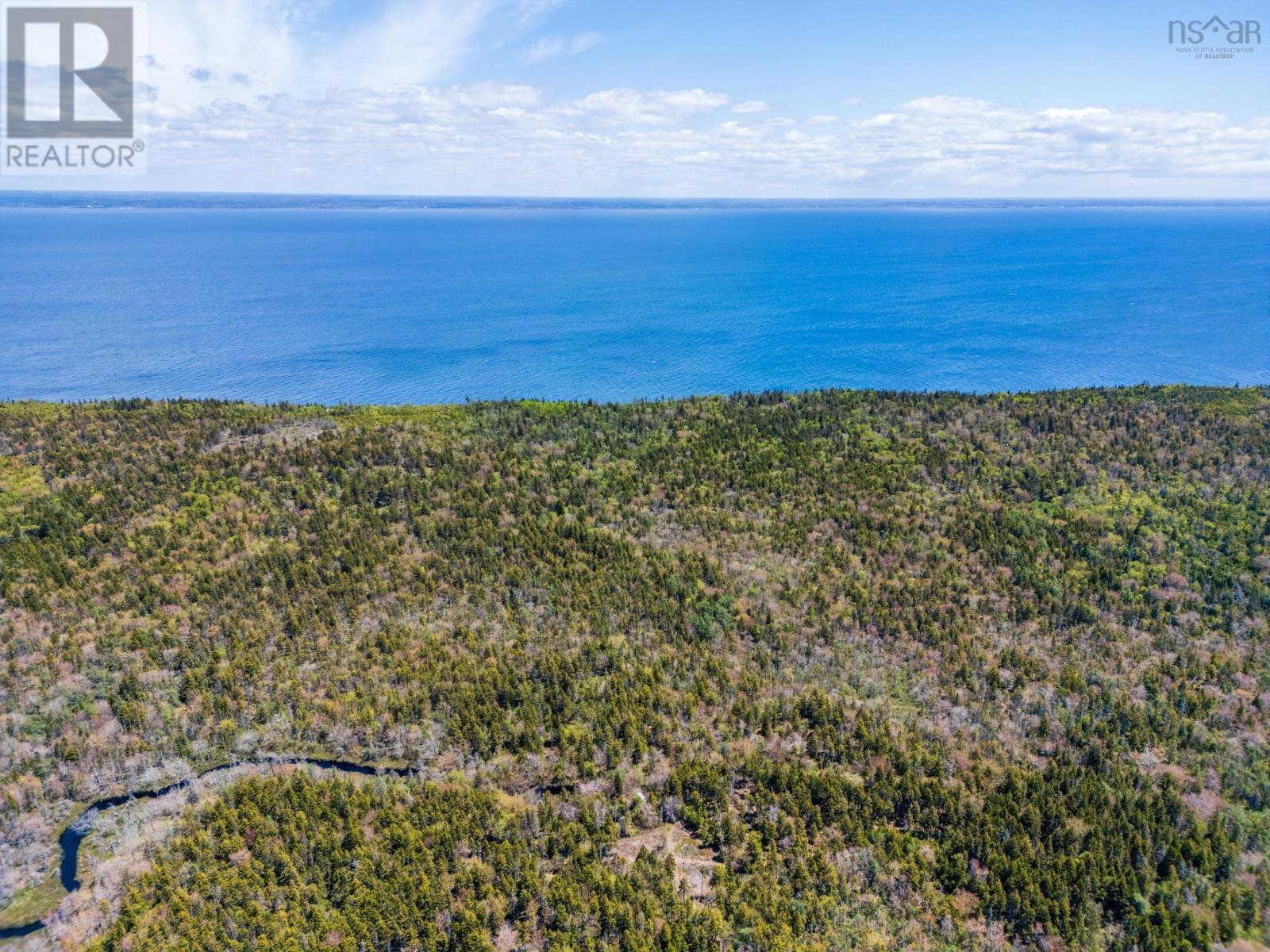 948 Highway 217, Freeport, Nova Scotia  B0V 1B0 - Photo 4 - 202613057