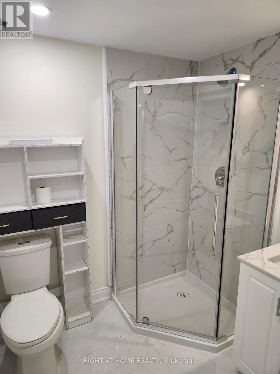 Basement - 62 Pineway Place, Brampton, Ontario  L6S 5S4 - Photo 12 - W13232296