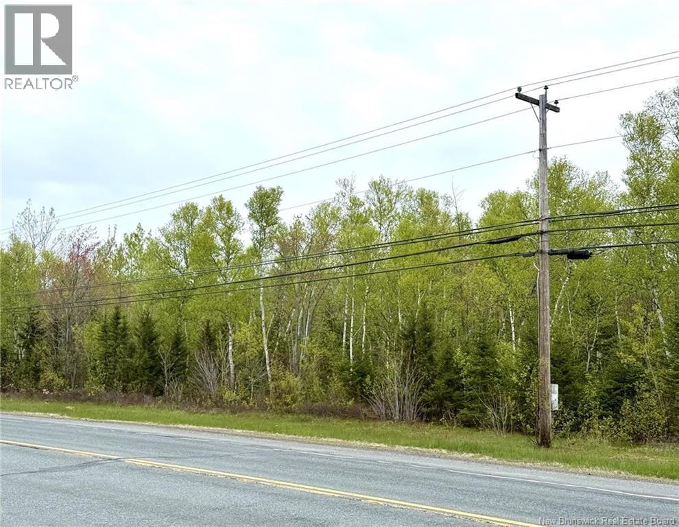 10.7 Acres Rue Du Portage, Caraquet, New Brunswick  E1W 1A8 - Photo 9 - NB140896