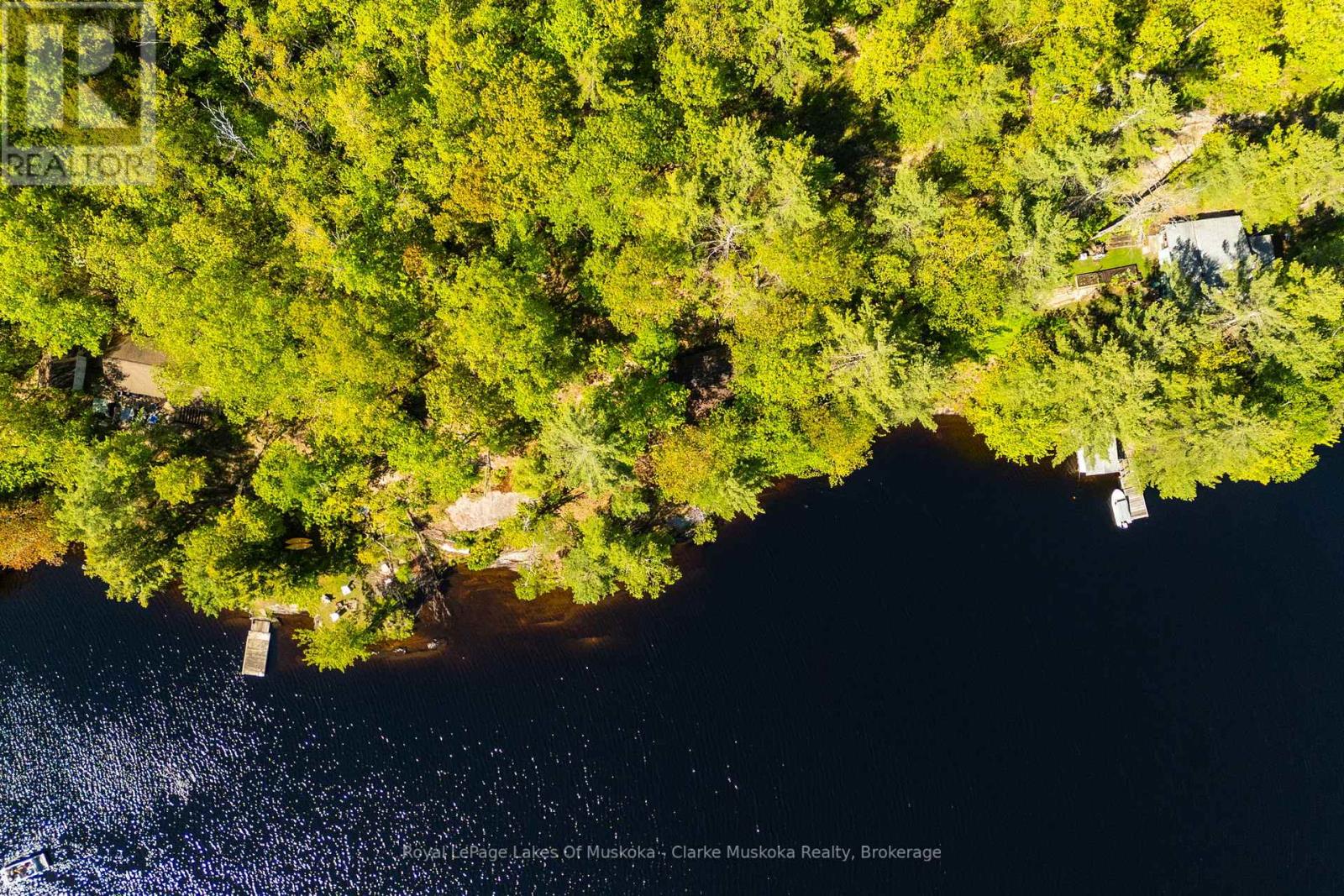 17 Nine Mile Lake, Muskoka Lakes (Wood (Muskoka Lakes)), Ontario  P0C 1M0 - Photo 6 - X13232390