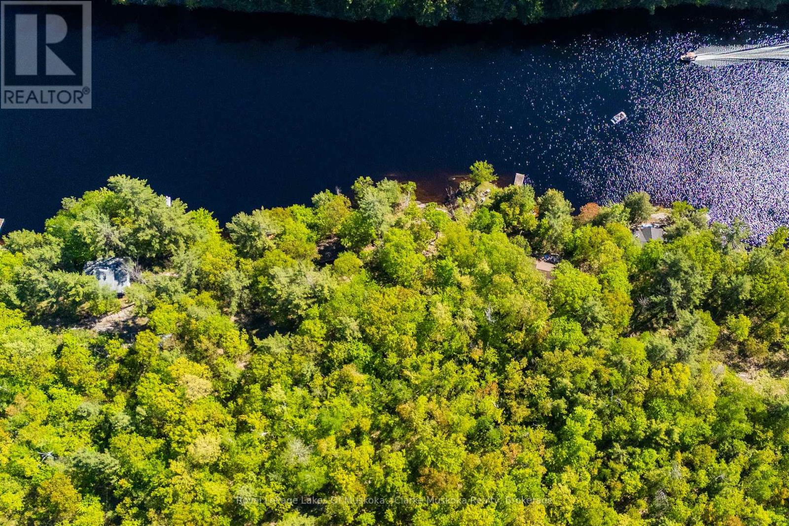 17 Nine Mile Lake, Muskoka Lakes (Wood (Muskoka Lakes)), Ontario  P0C 1M0 - Photo 8 - X13232390