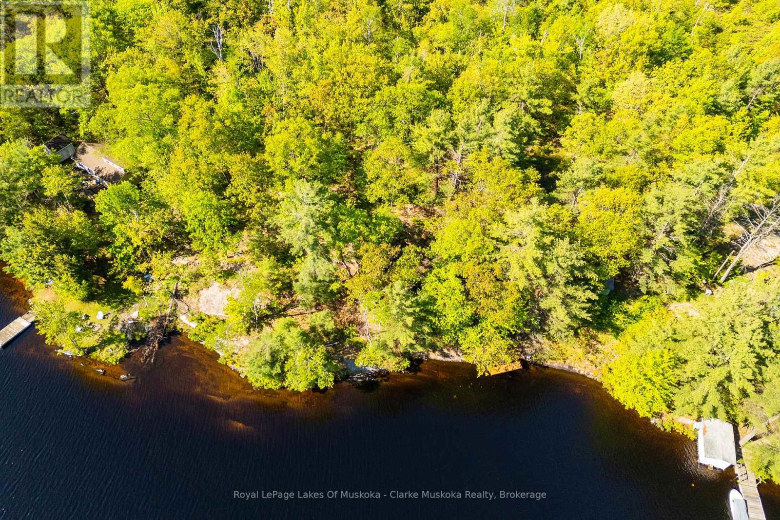 17 Nine Mile Lake, Muskoka Lakes (Wood (Muskoka Lakes)), Ontario  P0C 1M0 - Photo 9 - X13232390