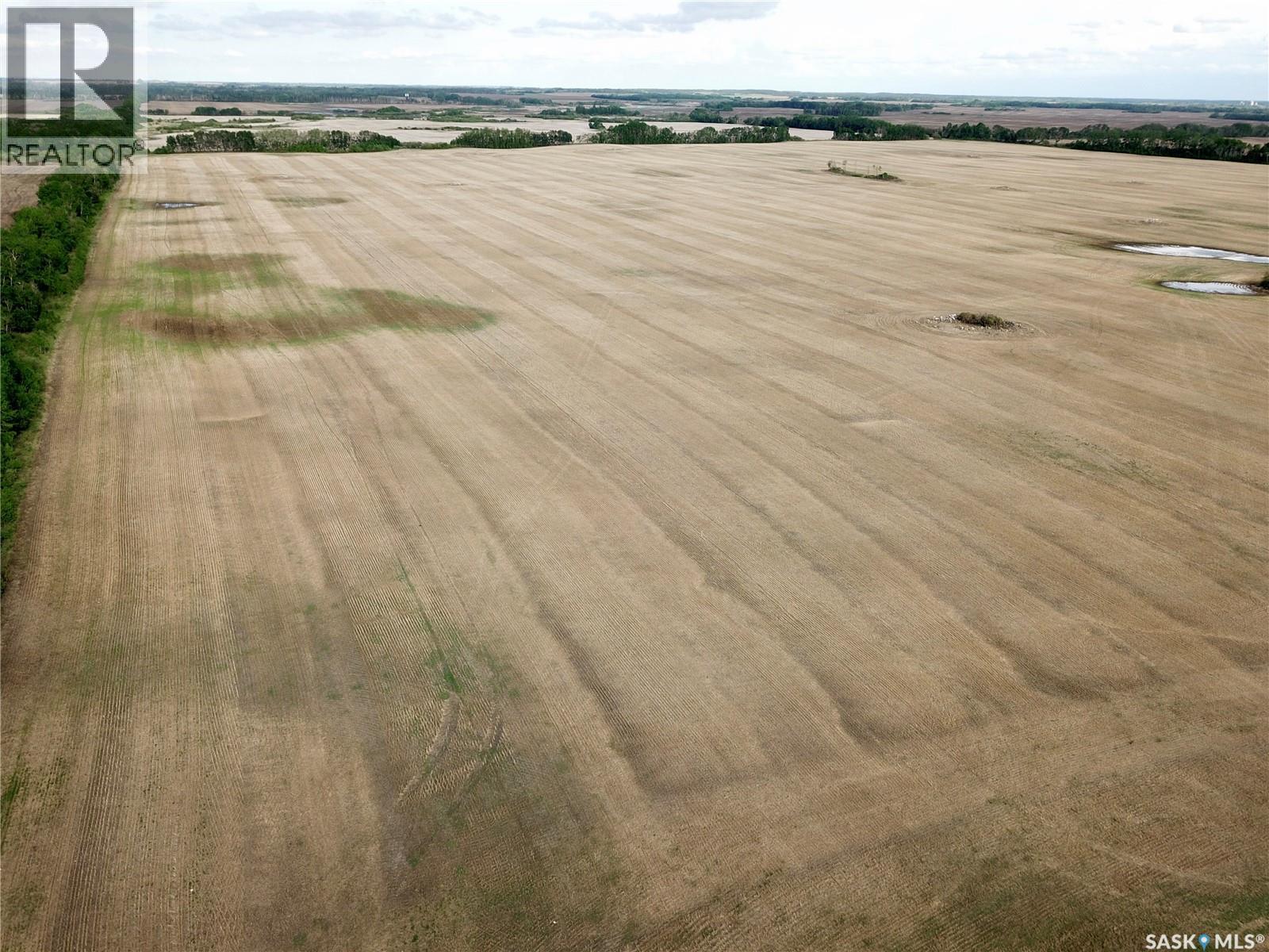 Canwood Grain Land, Canwood Rm No. 494, Saskatchewan  S0J 0K0 - Photo 2 - SK026958