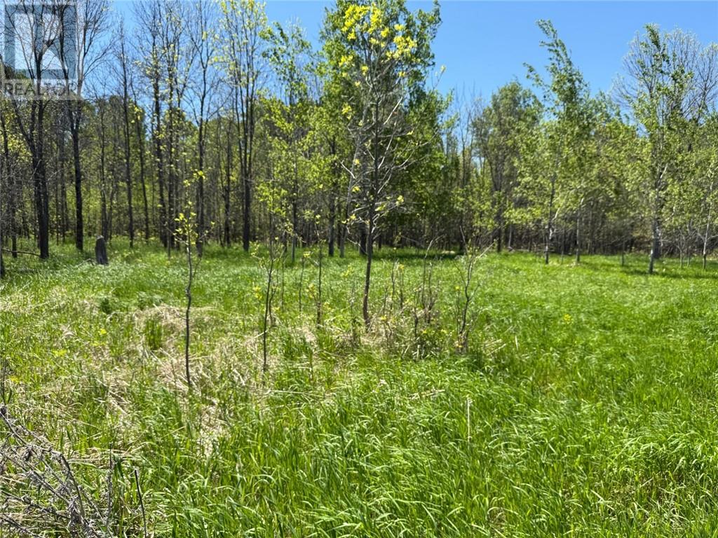 N/a Lagoon Lane, Little Current, Ontario  P0P 1K0 - Photo 7 - 2128166