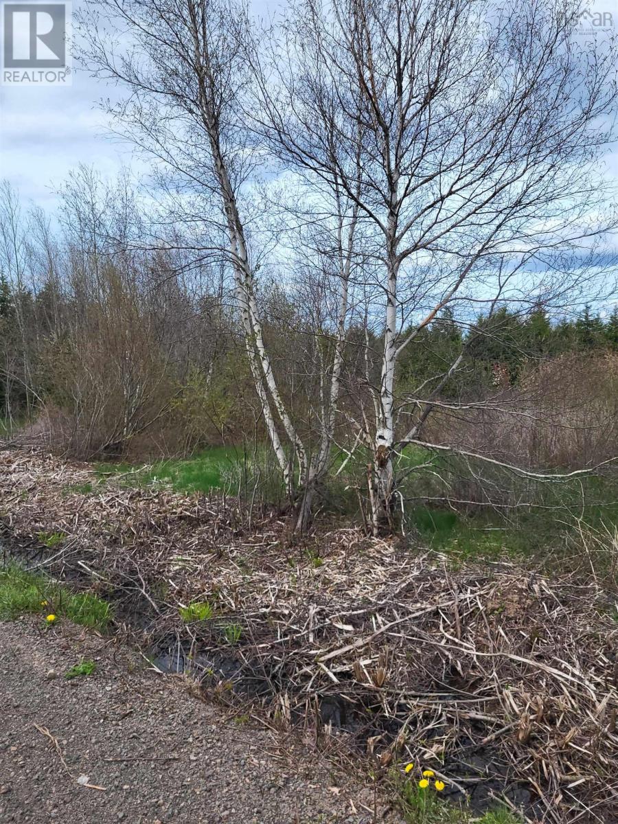 178 Trout Brook Road, Colchester, Nova Scotia  B0K 1V0 - Photo 5 - 202613098