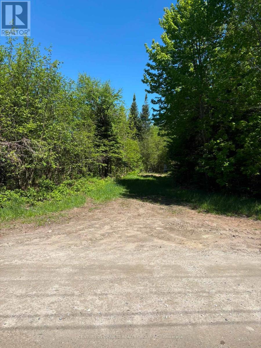 371 Albion Lake Drive, Faraday, Ontario  K0L 1C0 - Photo 3 - X12855918