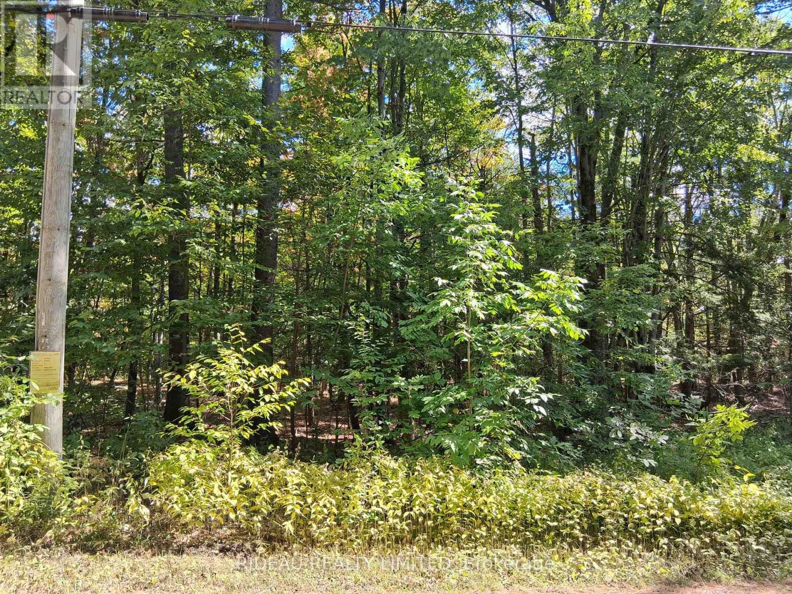 Pt1lt18 Isthmus Road, Rideau Lakes, Ontario  K0G 1E0 - Photo 9 - X13233782