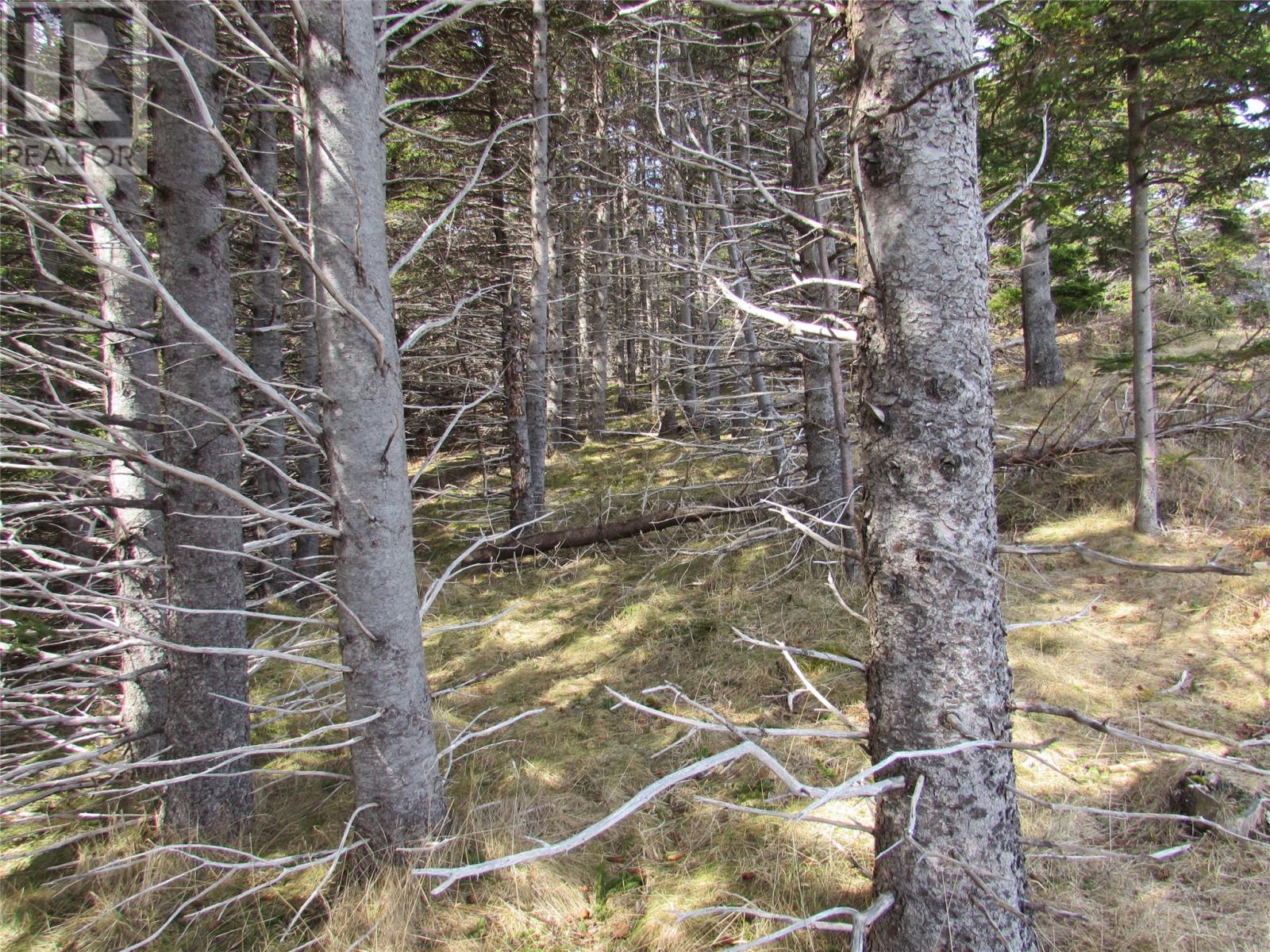 Photo 24