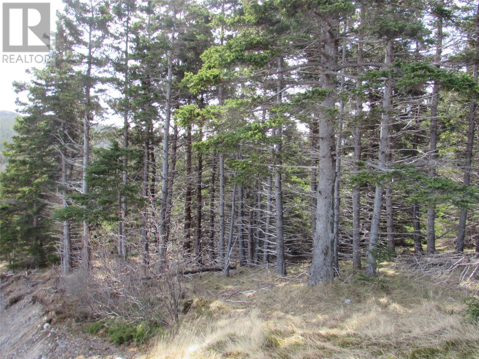Photo 36