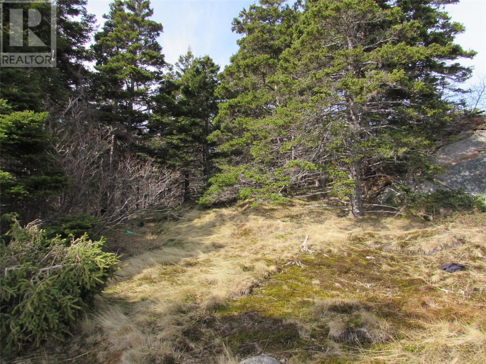 Photo 37