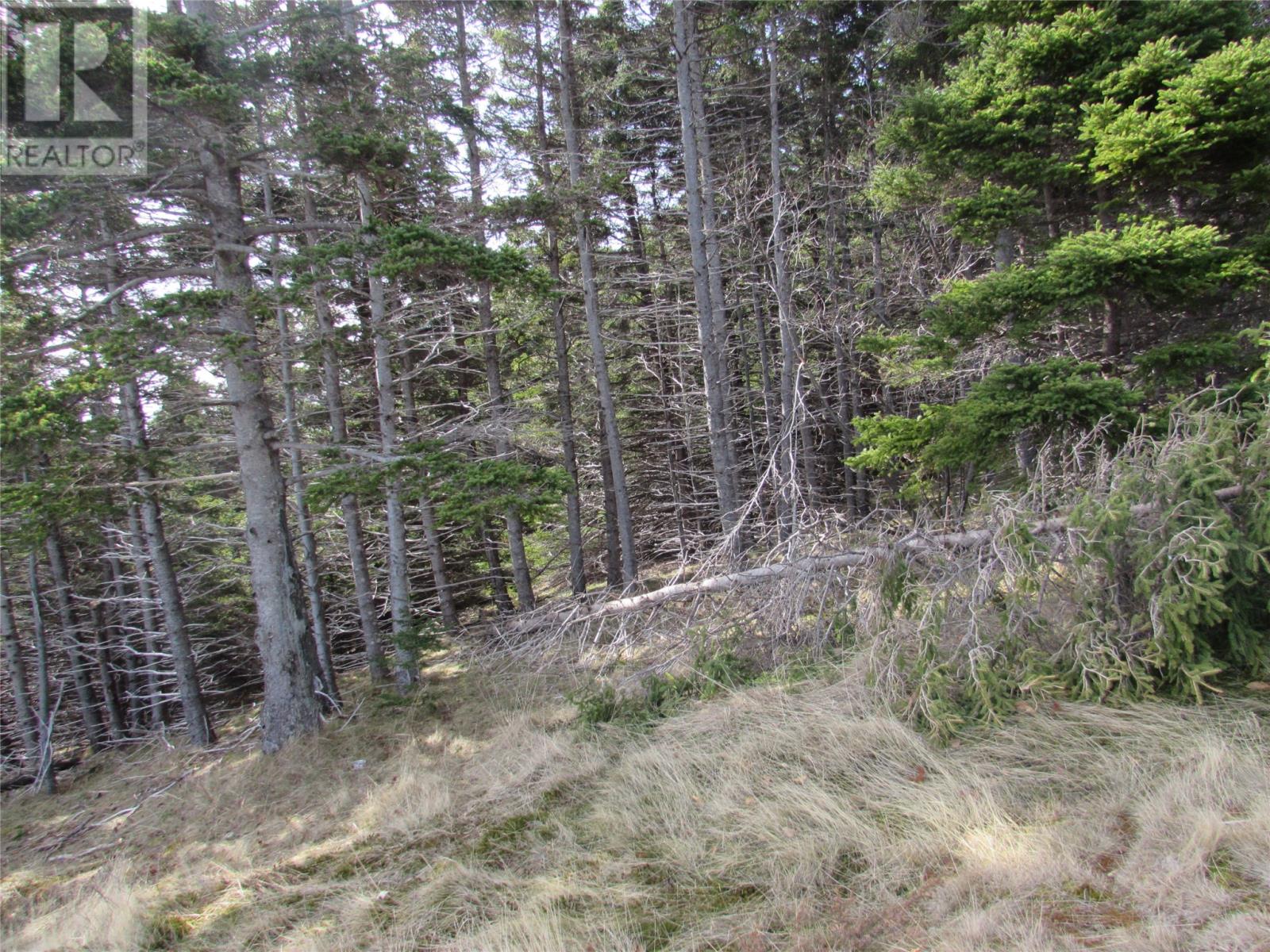 Photo 38