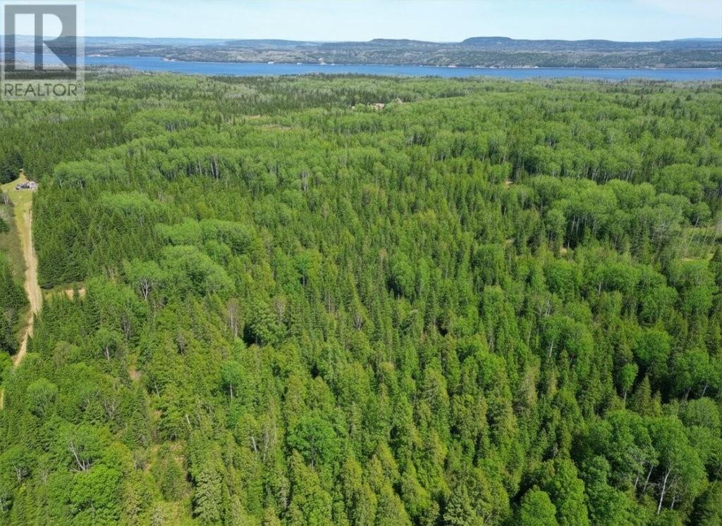 Pcl 19519 Cameron Falls Road, Nipigon, Ontario  P0T 2J0 - Photo 7 - TB2601295