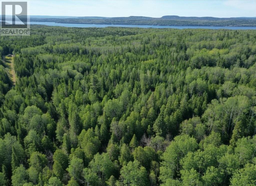 Pcl 19519 Cameron Falls Road, Nipigon, Ontario  P0T 2J0 - Photo 5 - TB2601295