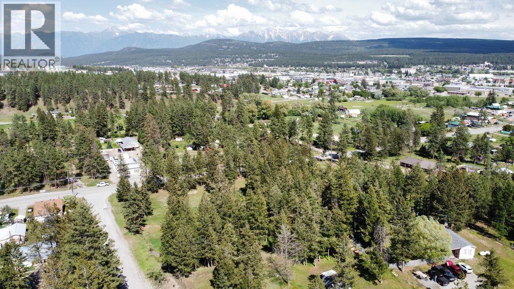 Lot D King Street, Cranbrook, British Columbia V1C 6S6 - Photo 3 - 10389684