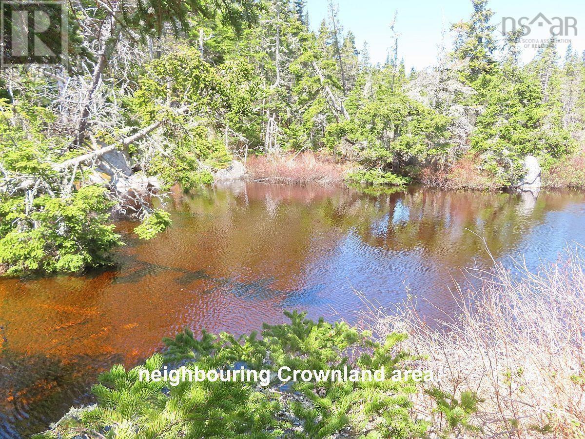 Lot 10 Hwy 316 (Grovers Point), Cole Harbour, Nova Scotia  B0H 1T0 - Photo 17 - 202428068