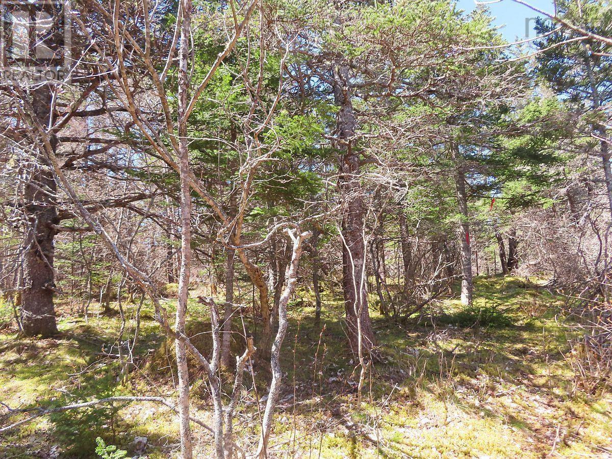 Lot 10 Hwy 316 (Grovers Point), Cole Harbour, Nova Scotia  B0H 1T0 - Photo 24 - 202428068
