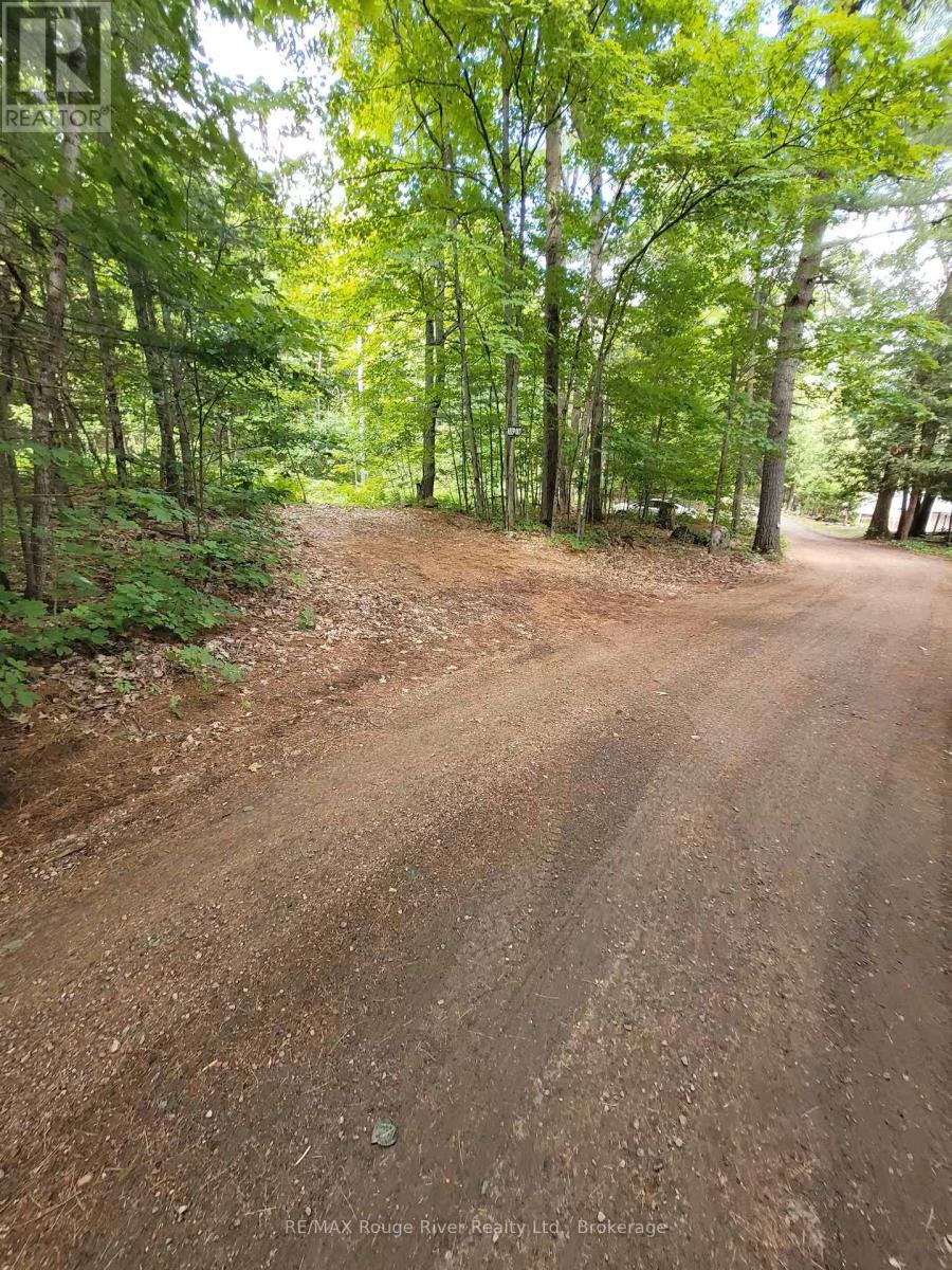 1246 Sugar Bush Lane, Minden Hills, Ontario  K0M 2K0 - Photo 29 - X13234122