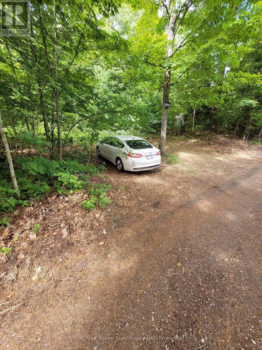 1246 Sugar Bush Lane, Minden Hills, Ontario  K0M 2K0 - Photo 30 - X13234122