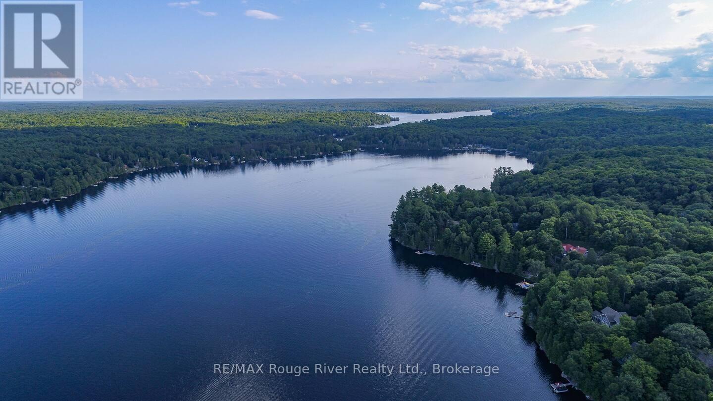 1246 Sugar Bush Lane, Minden Hills, Ontario  K0M 2K0 - Photo 39 - X13234122