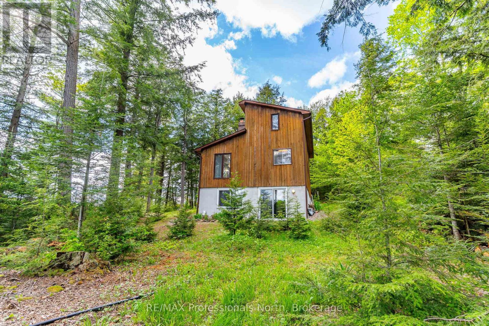 1294 Trinity Road, Highlands East, Ontario  K0L 2A0 - Photo 49 - X13234494