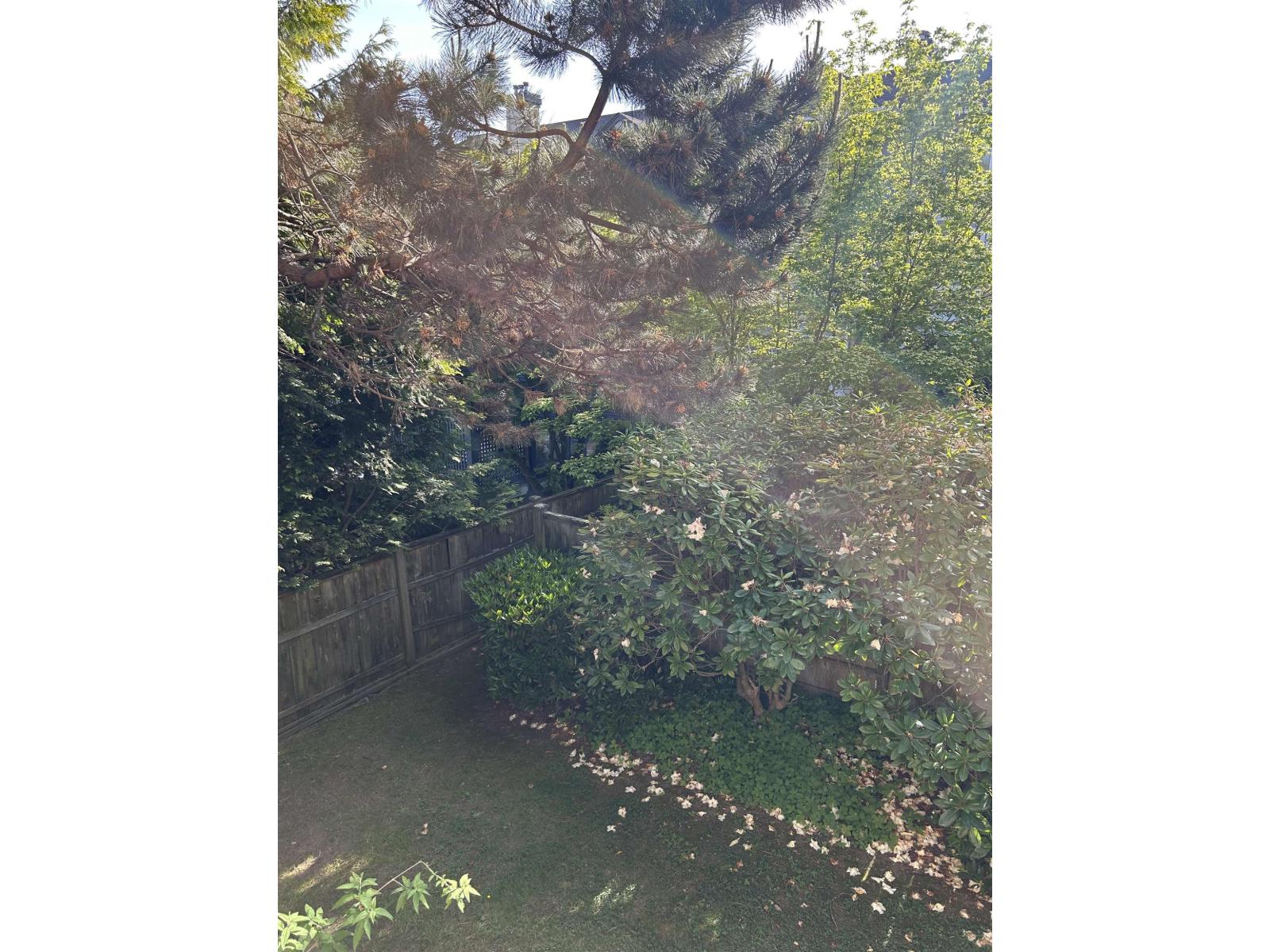 204 1533 Best Street, White Rock, British Columbia  V4B 4E9 - Photo 13 - R3118447