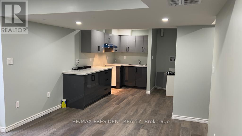 Basement - 592 Florencedale Crescent, Kitchener, Ontario  N2R 0N4 - Photo 14 - X13234208