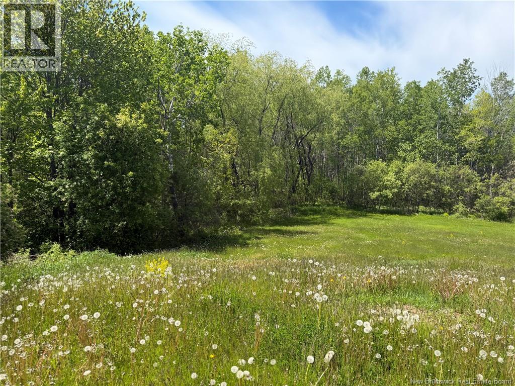 Lot Mapleton Road, Moncton, New Brunswick  E1G 2K7 - Photo 2 - NB140954