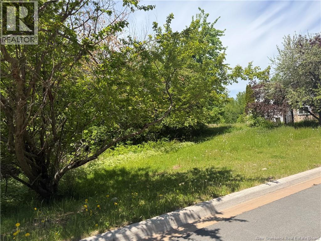 Lot Mapleton Road, Moncton, New Brunswick  E1G 2K7 - Photo 3 - NB140954