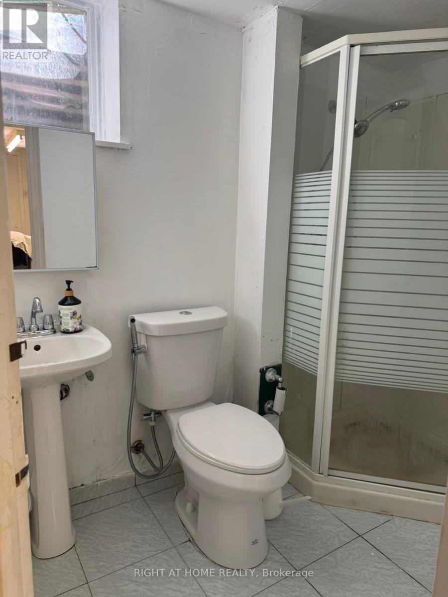 Basement - 39 Starlight Crescent, Richmond Hill, Ontario  L4C 4X3 - Photo 12 - N13234710