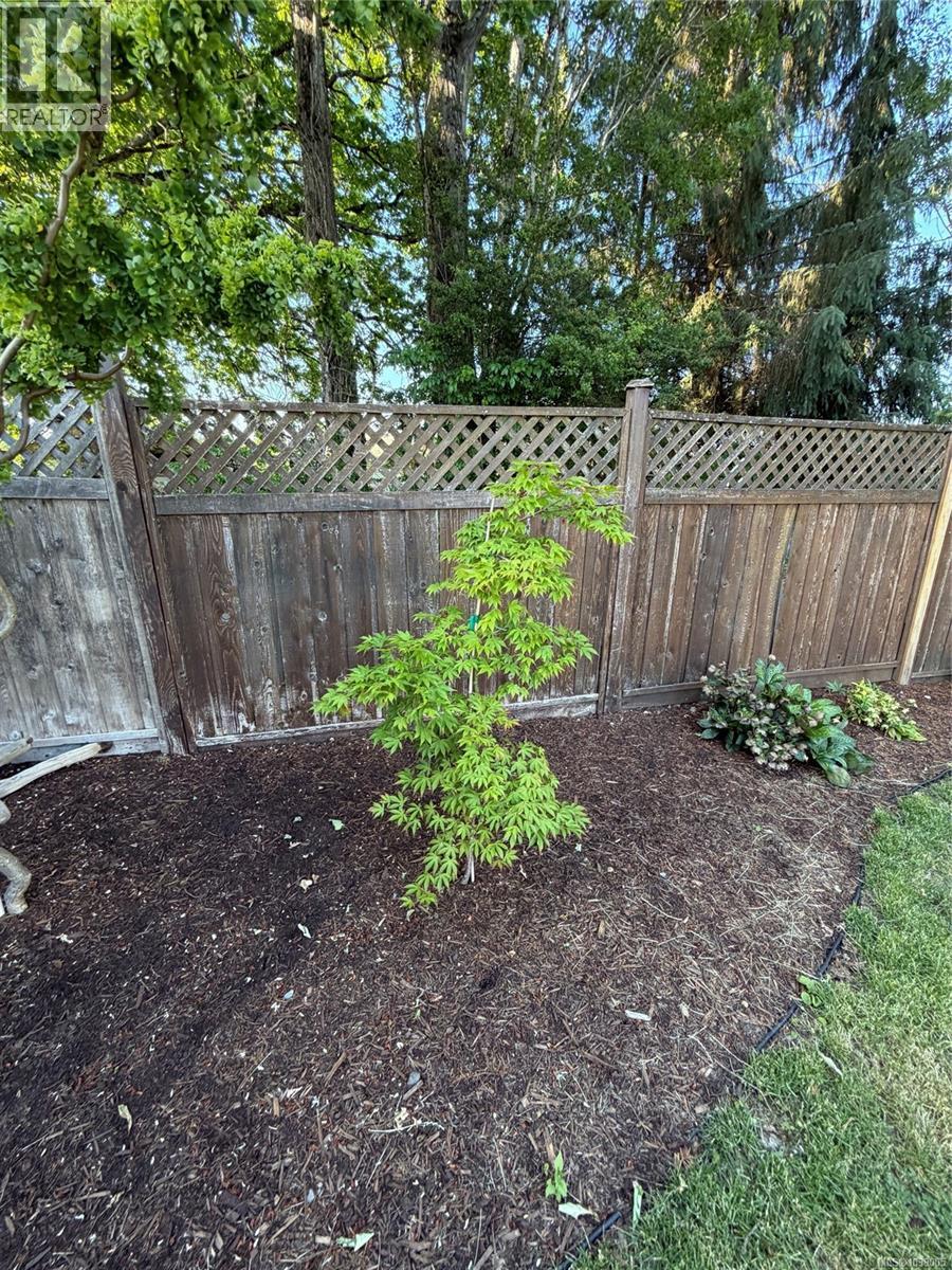 Listing image 66