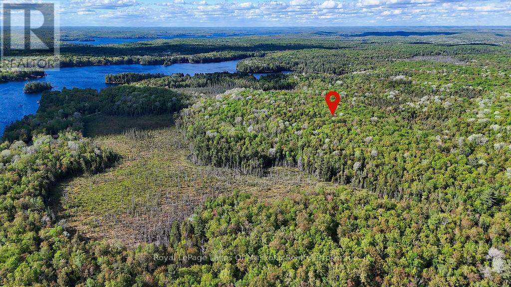 1356 Dickie Lake Road, Lake Of Bays, Ontario  P0B 1A0 - Photo 11 - X12936408