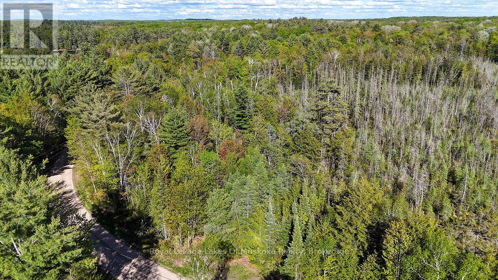 1356 Dickie Lake Road, Lake Of Bays, Ontario  P0B 1A0 - Photo 13 - X12936408