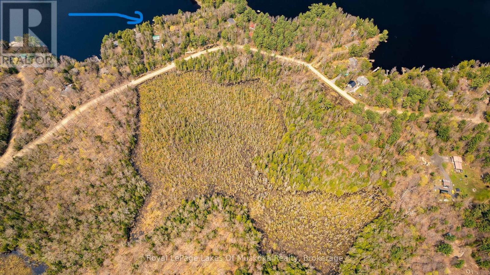 1356 Dickie Lake Road, Lake Of Bays, Ontario  P0B 1A0 - Photo 3 - X12936408