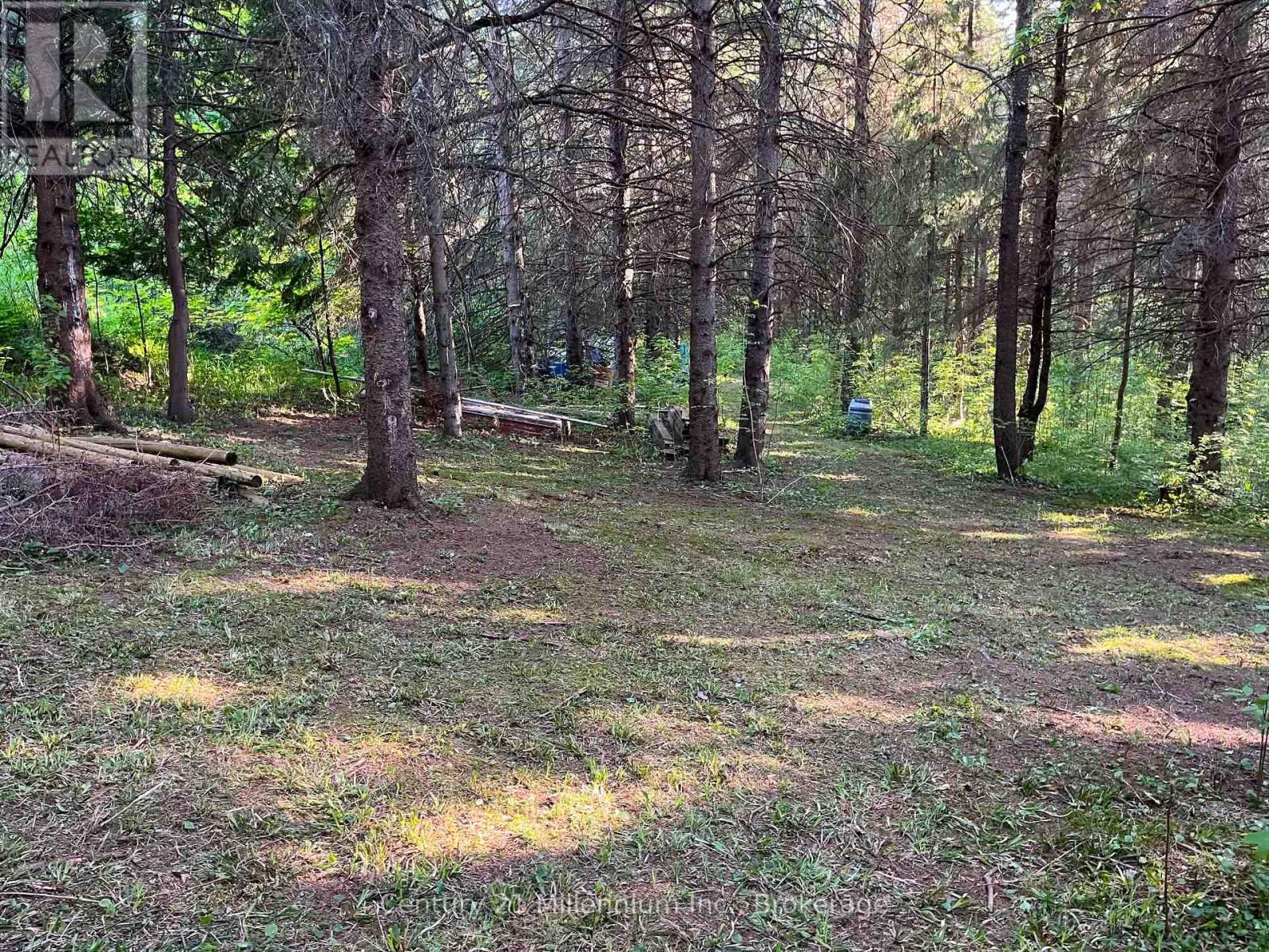 627383 15 Side Road, Mulmur, Ontario  L0N 1M0 - Photo 10 - X12983034