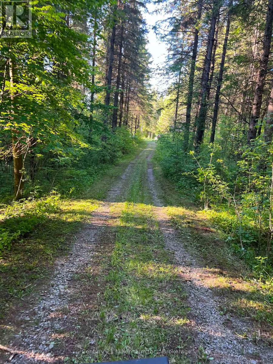 627383 15 Side Road, Mulmur, Ontario  L0N 1M0 - Photo 7 - X12983034