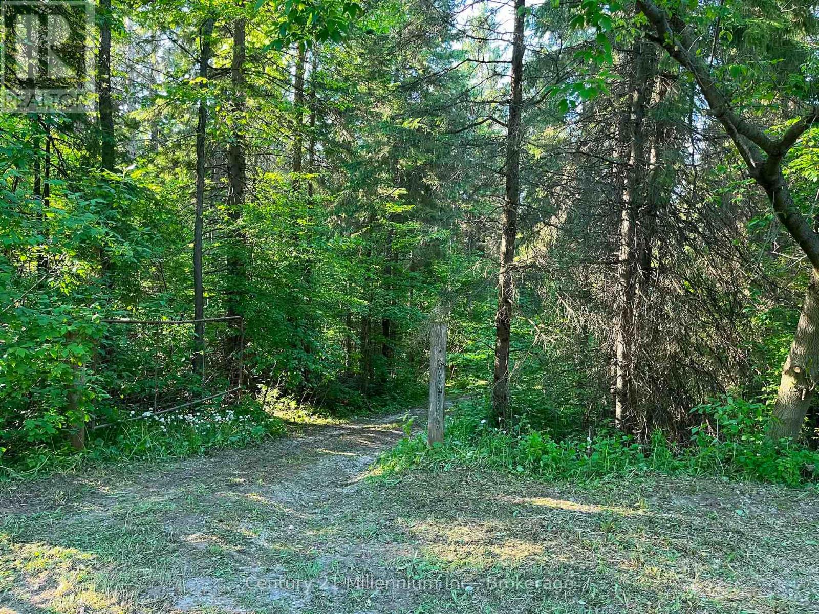 627383 15 Side Road, Mulmur, Ontario  L0N 1M0 - Photo 6 - X12983034
