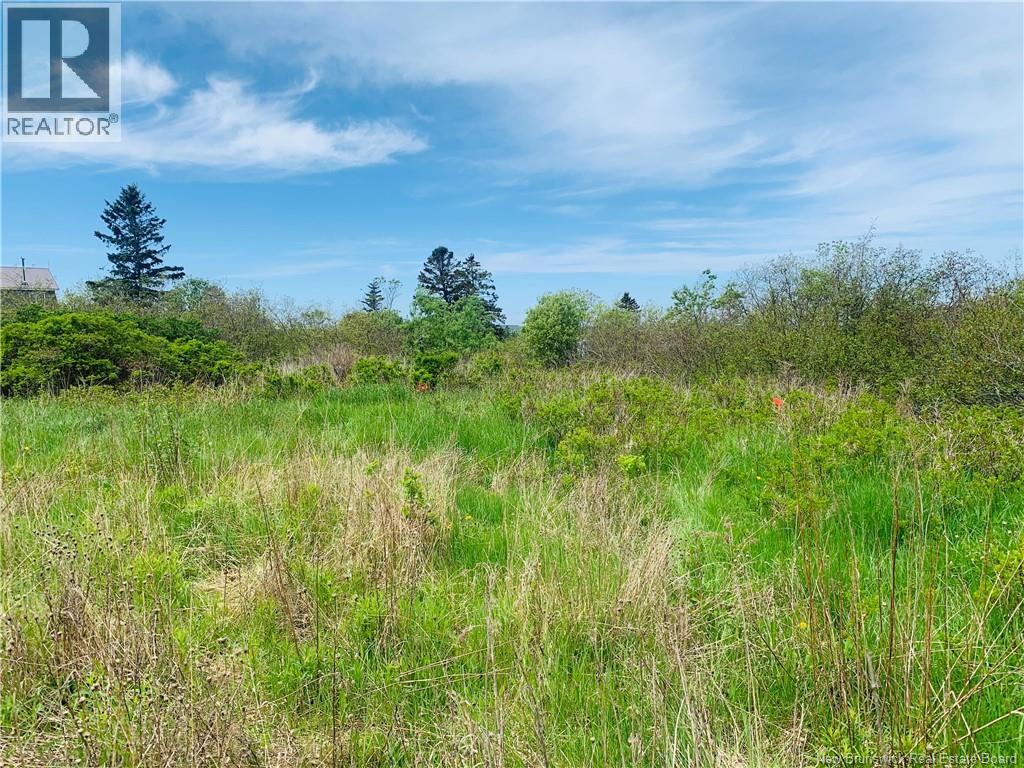 183 Narrows Road, Welshpool, New Brunswick  E5E 1T4 - Photo 7 - NB141028