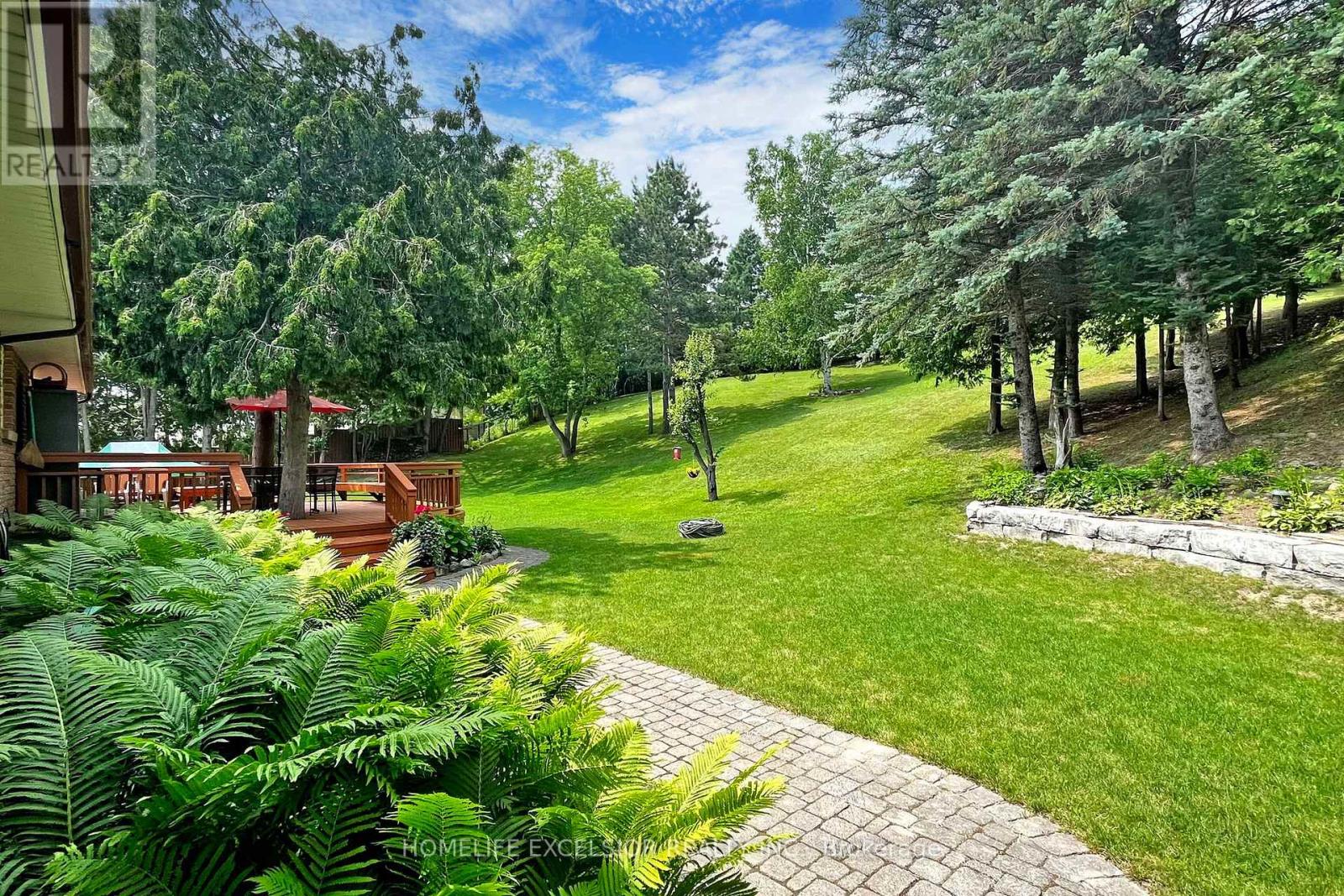550 Mount Albert Road, East Gwillimbury, Ontario  L9N 1P1 - Photo 17 - N13226066
